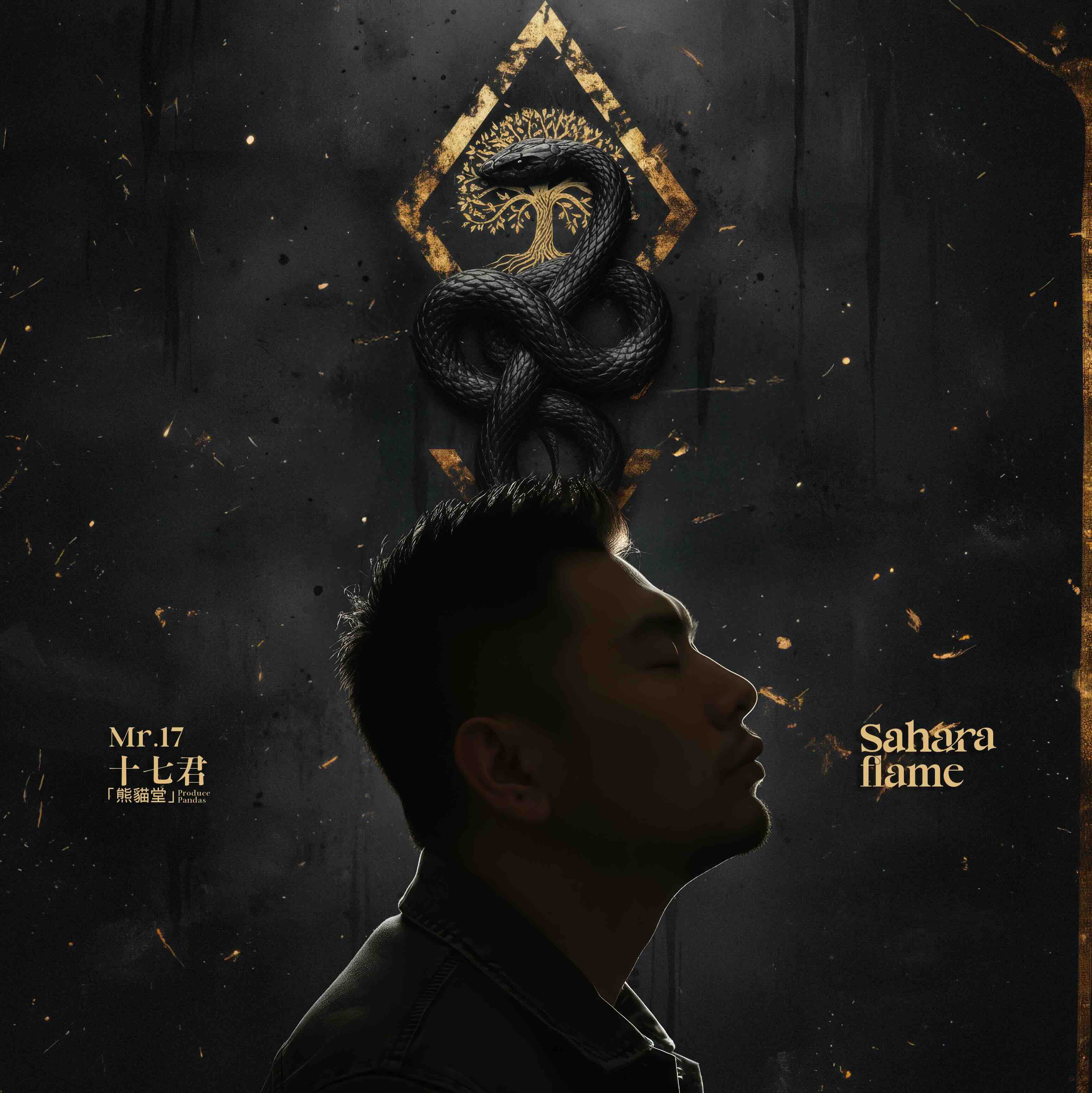 Sahara Flame Single Art